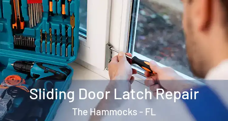  Sliding Door Latch Repair The Hammocks - FL