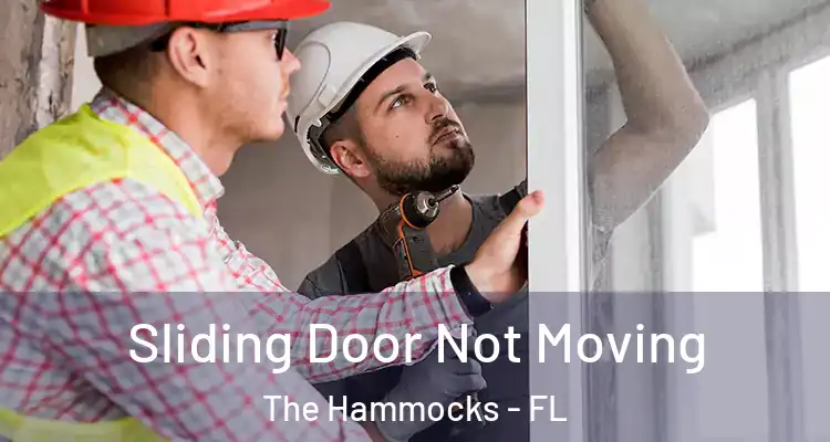  Sliding Door Not Moving The Hammocks - FL