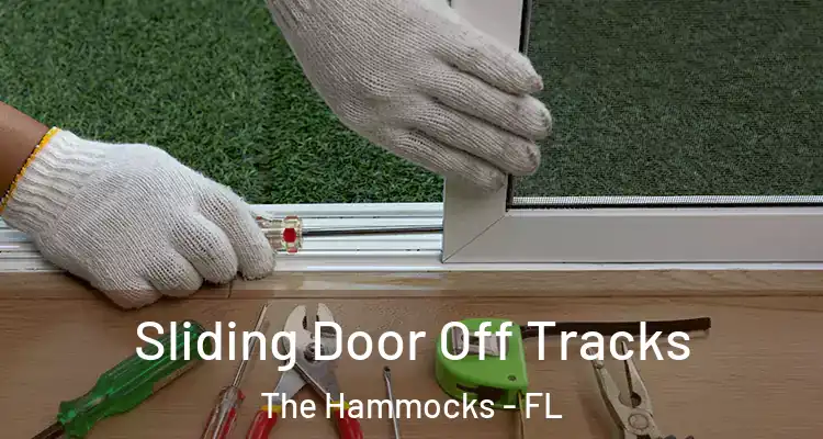  Sliding Door Off Tracks The Hammocks - FL