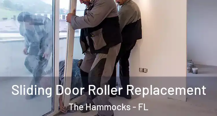  Sliding Door Roller Replacement The Hammocks - FL