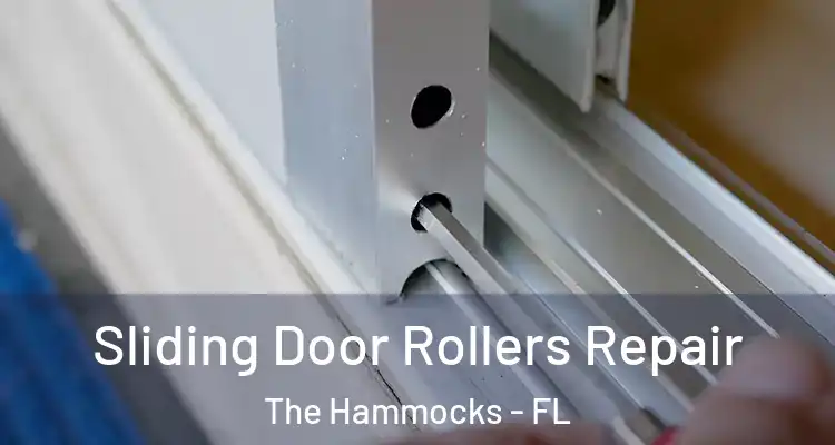  Sliding Door Rollers Repair The Hammocks - FL
