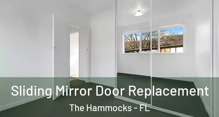  Sliding Mirror Door Replacement The Hammocks - FL