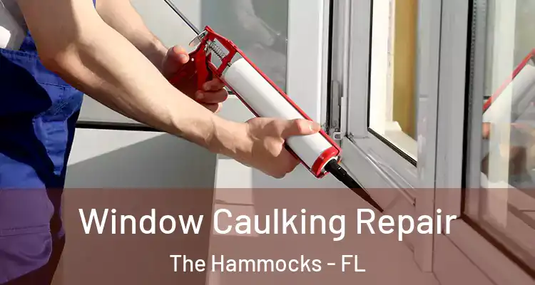  Window Caulking Repair The Hammocks - FL