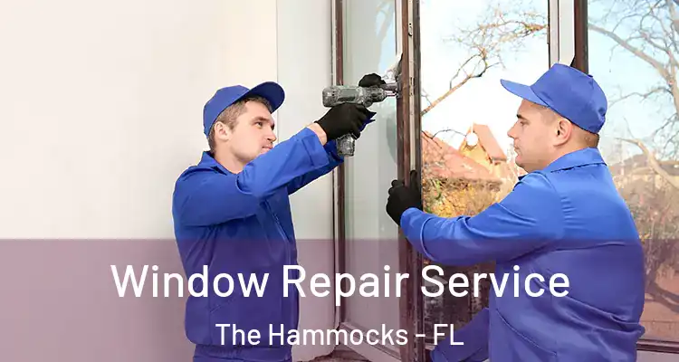  Window Repair Service The Hammocks - FL