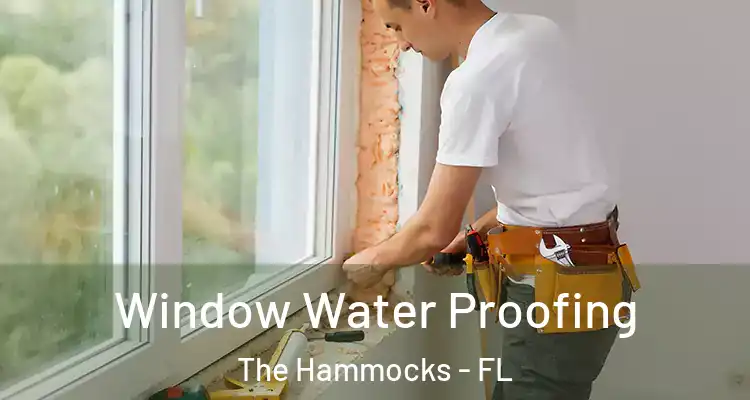  Window Water Proofing The Hammocks - FL