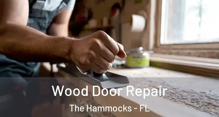  Wood Door Repair The Hammocks - FL